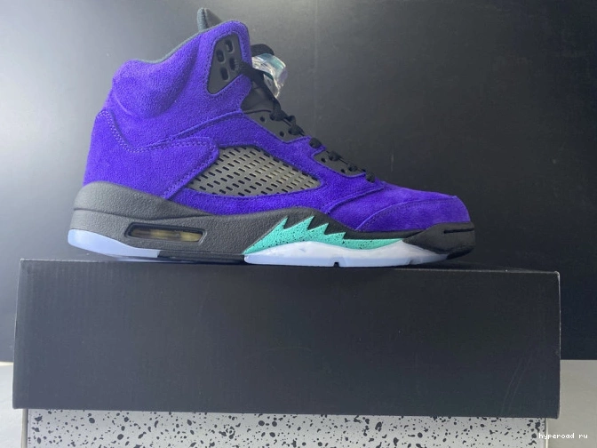 Grape 136027-500 Retro 5 Alternate Air Jordan 0729